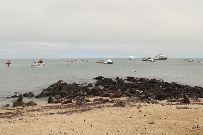 Playa de los Marinos - Playa de los Marinos, 39WP+XM4, Av. de la Armada Nacional, Puerto Baquerizo Moreno, Ecuador