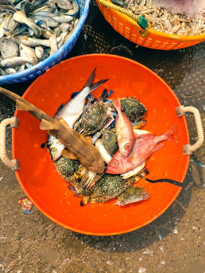 Udupi Fish Market - Udupi Fish Market, 8QP2+65R, Kadekoppala, Chitpady, Udupi, Karnataka 576101, India
