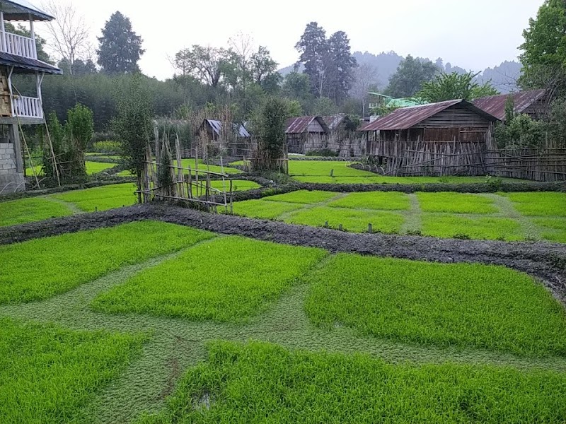 Ziro - Ziro Ziro 791120