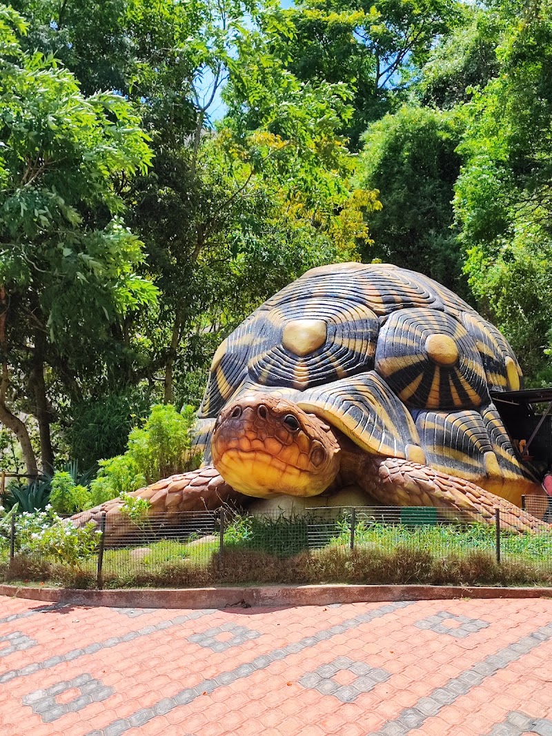 Chinnar Wildlife Sanctuary - Chinnar Wildlife Sanctuary 8644+PC6, Munnar - Udumalpet Rd, Munnar, Kerala 685612, India