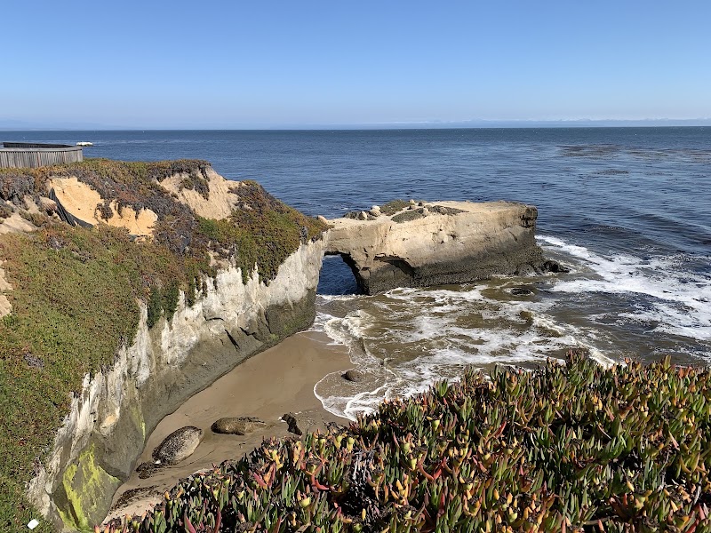 Año Nuevo State Park - Año Nuevo State Park 1 New Years Creek Rd, Pescadero, CA 94060, USA