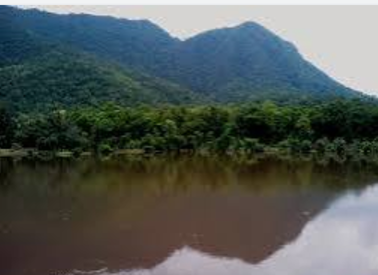 Gandhamardhan hills - Gandhamardhan hills, Odisha 768039, India