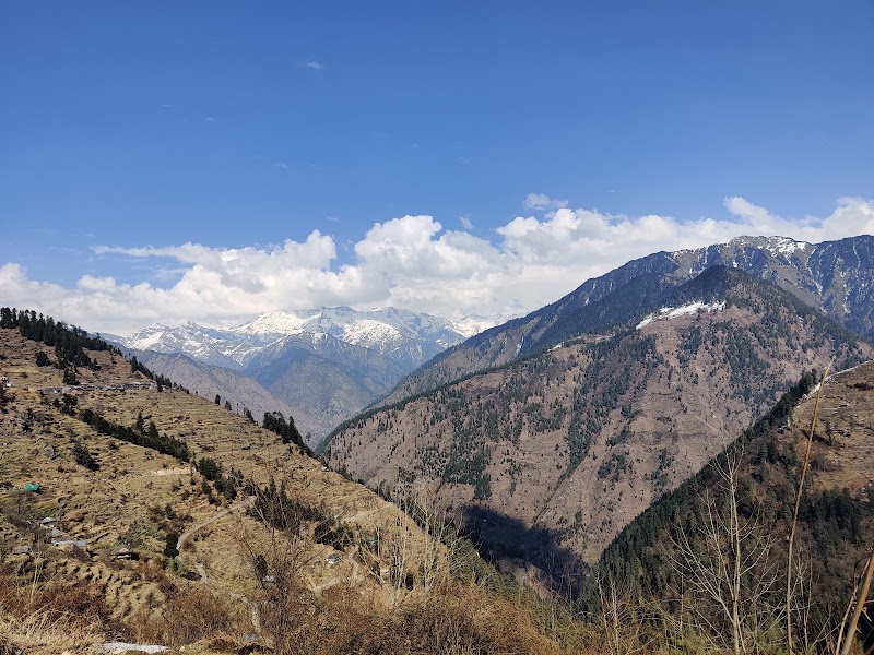 Tirthan Wildlife Sanctuary - Tirthan Wildlife Sanctuary, JG9X+45R, Mashyar, Himachal Pradesh 175123, India