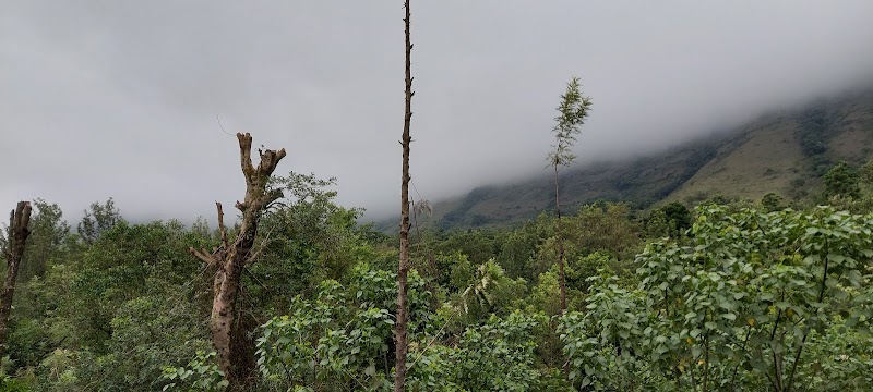 Manikyadhara Homestay - Manikyadhara Homestay 9QR9+99P, Chikkamagaluru, Arasinaguppe, Karnataka 577131, India
