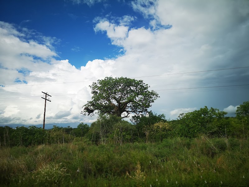 Musina Nature Reserve - Musina Nature Reserve, Musina, South Africa
