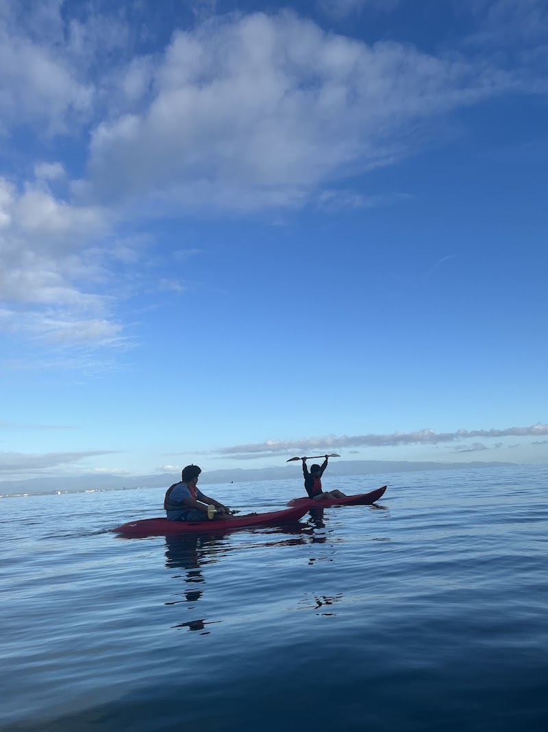 Paddle Nelson - Paddle Nelson, Bisley Walk, Tāhunanui, Nelson 7011, New Zealand