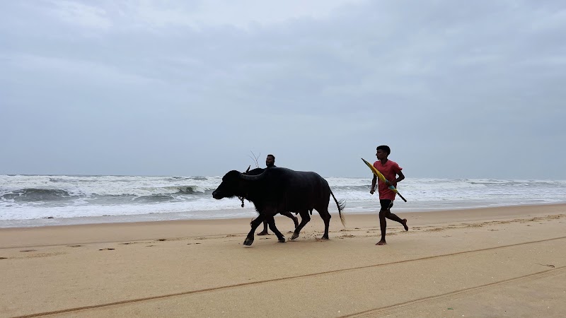 Benaulim Beach - Benaulim Beach Benaulim Beach, Goa, India