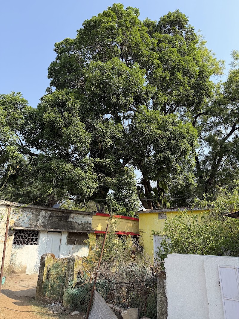 P R Goshala - P R Goshala, Goshala chowk, PF4J+6J9, near BED collage, Balangir, Odisha 767001, India