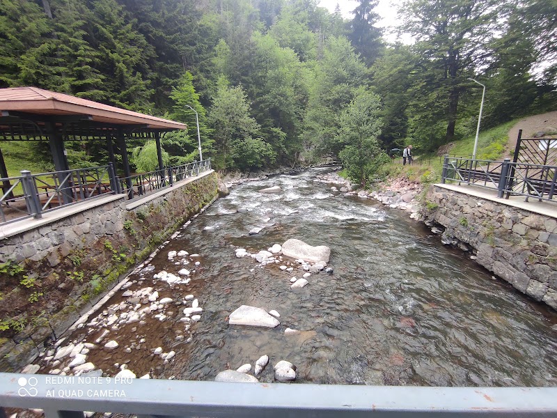 Borjomi Sulfur Pools - Borjomi Sulfur Pools, 9 ბარათაშვილის ქუჩა, Borjomi 1200, Georgia