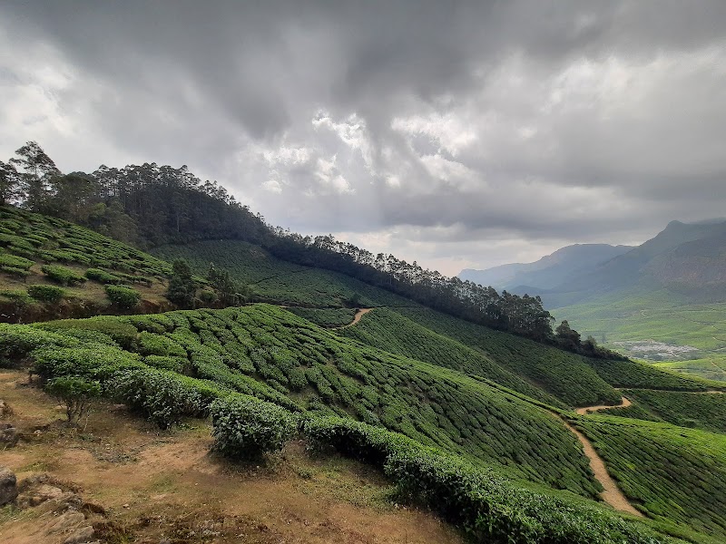 Suryanelli Kolukkumalai Road
