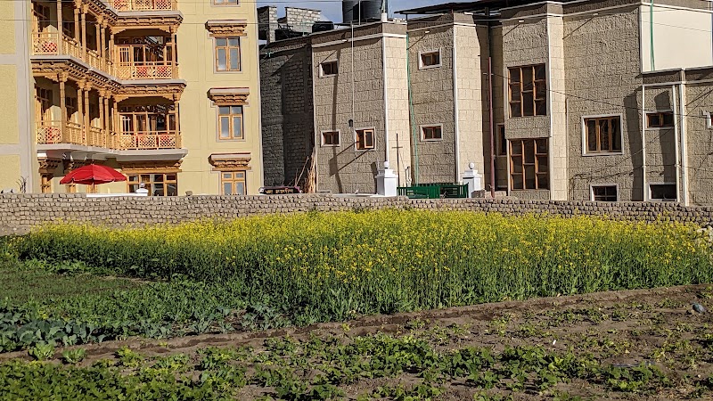 Gotal Guest House