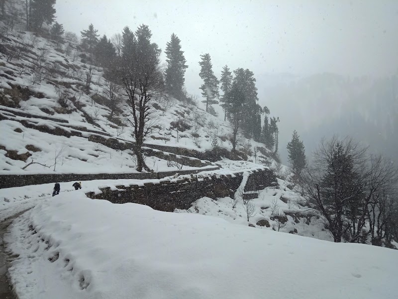 Panduropa - Panduropa, 7659+W6P, Bashisht, Himachal Pradesh 175143, India