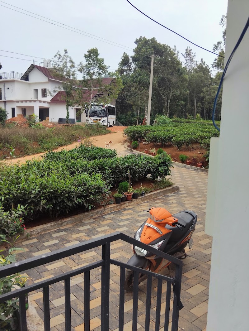 Munnar tea valley - Munnar tea valley, Muthuvankudy, Munnar, Kerala 685565, India