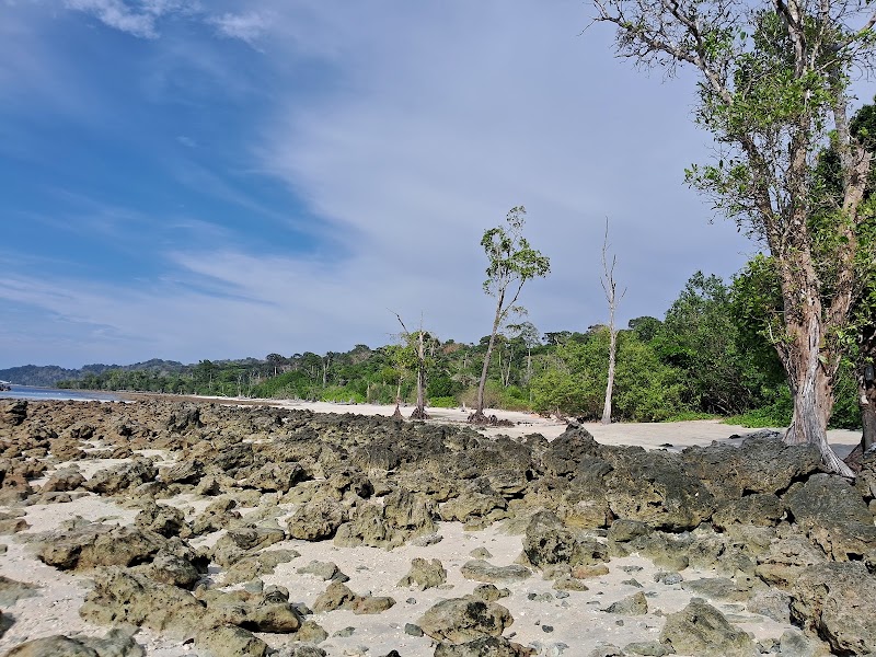 Walking Path To Elephant Beach - Walking Path To Elephant Beach 2X57+FCJ, SH4, Andaman and Nicobar Islands 744211, India