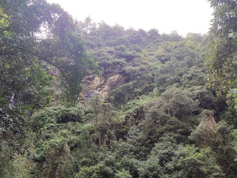 Chadwick Falls - Chadwick Falls 449Q+VH3, Shimla, Himachal Pradesh 171005, India