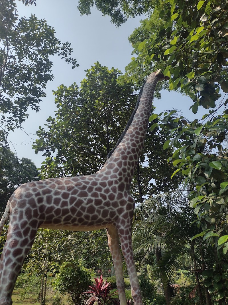 Bhujanga Park - Bhujanga Park 8PJV+CQQ, Brahmagiri, Udupi, Karnataka 576101, India