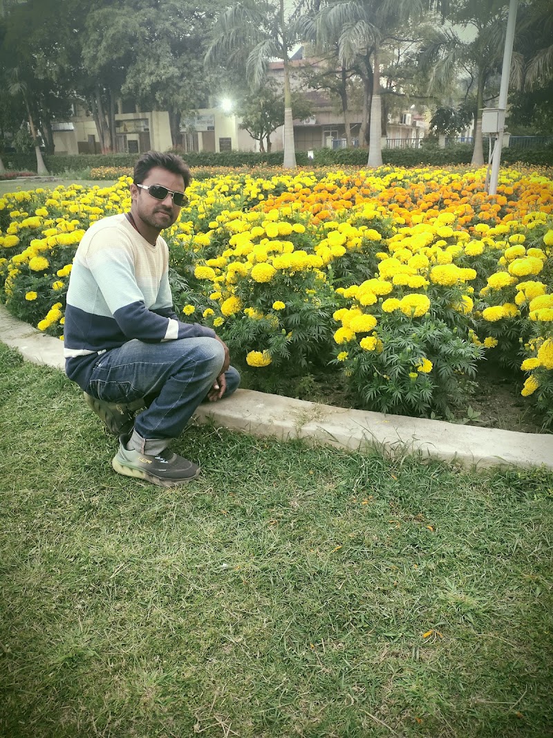 Rose Garden - Rose Garden, 48P4+V7Q, NTPC Twp Sipat, Chhattisgarh 495555, India