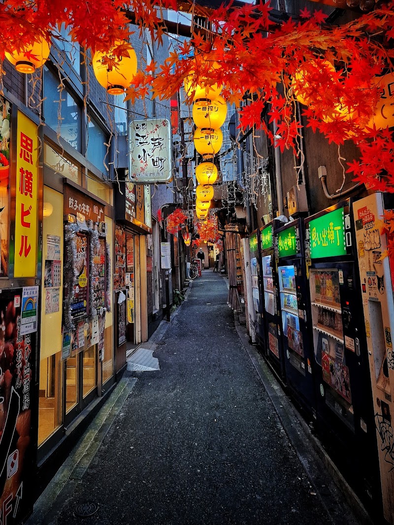 Omoide Yokocho Memory Lane - Omoide Yokocho Memory Lane 1 Chome-2 Nishishinjuku, Shinjuku City, Tokyo 160-0023, Japan