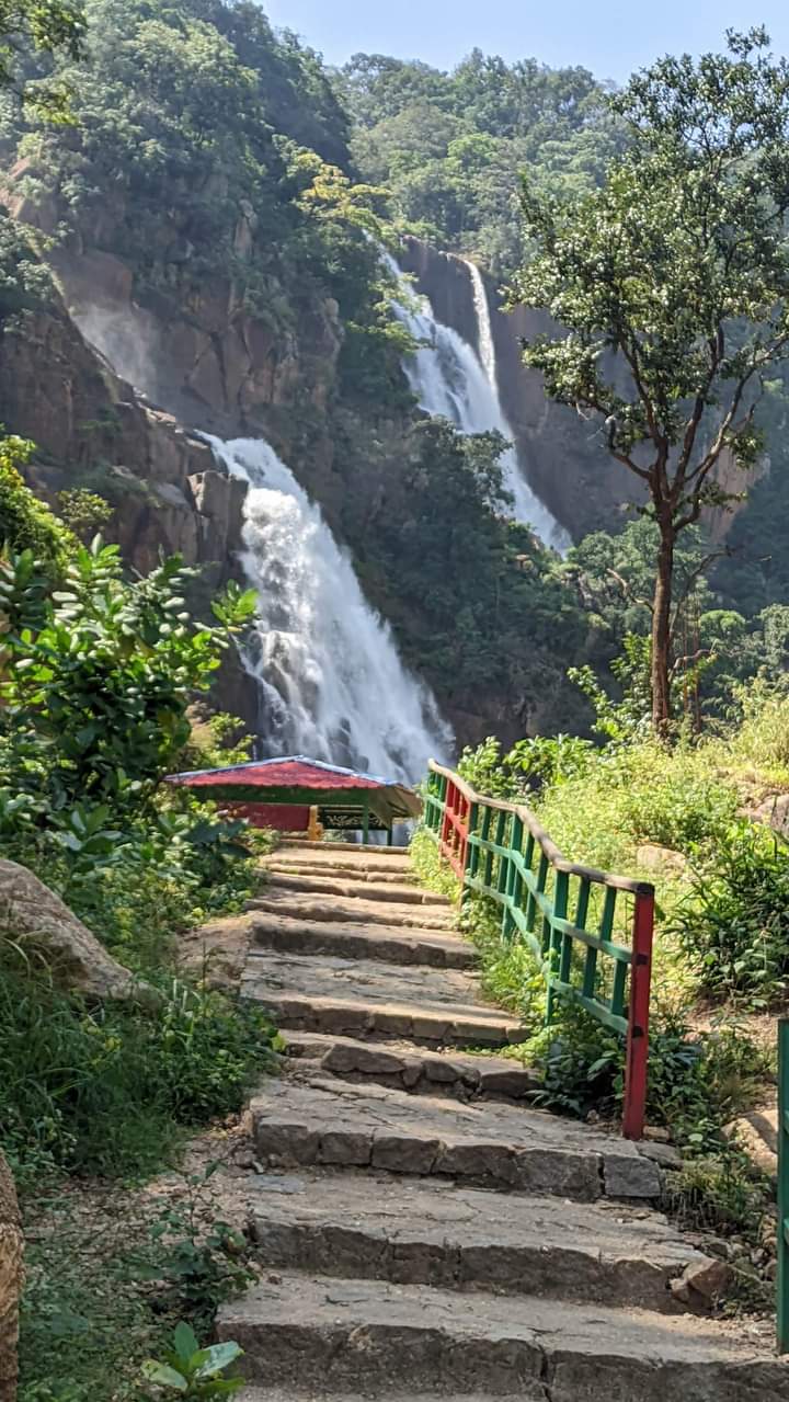 Netarhat Lake - Netarhat Lake F7JC+27M, Netarhat, Jharkhand 835218, India
