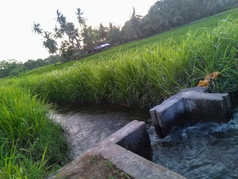 Kandalama - Kandalama Kandalama, Sri Lanka