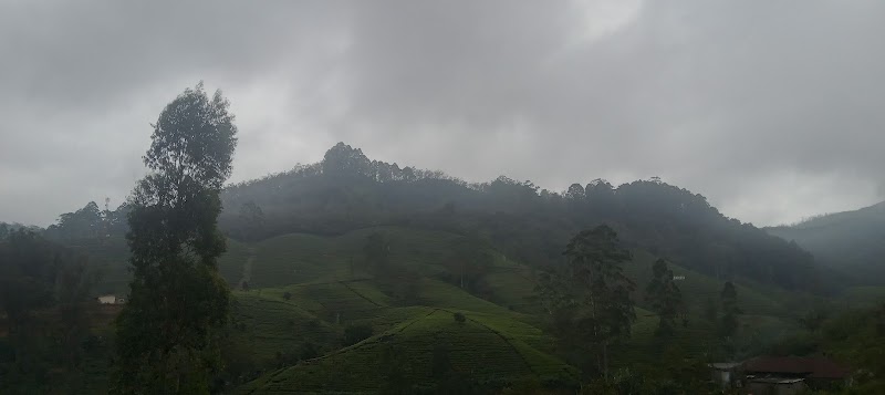 nanuoya - nanuoya, WPRV+FH7, Nuwara Eliya, Sri Lanka