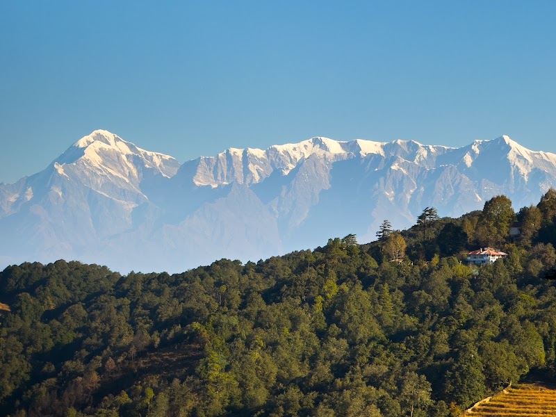 Tree of Life Grand Oak Manor Binsar - Tree of Life Grand Oak Manor Binsar, Jhandi Dhar - Binsar Sanctuary Gate Rd, Regariya, Uttarakhand 263601, India
