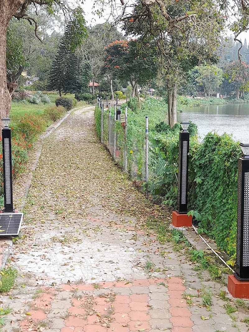 Yercaud Lake - Yercaud Lake Yercaud Lake, Tamil Nadu 636602