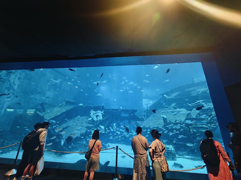 Singapore Oceanarium - Singapore Oceanarium 24 Sentosa Gateway, Sentosa Island, Singapore 098137