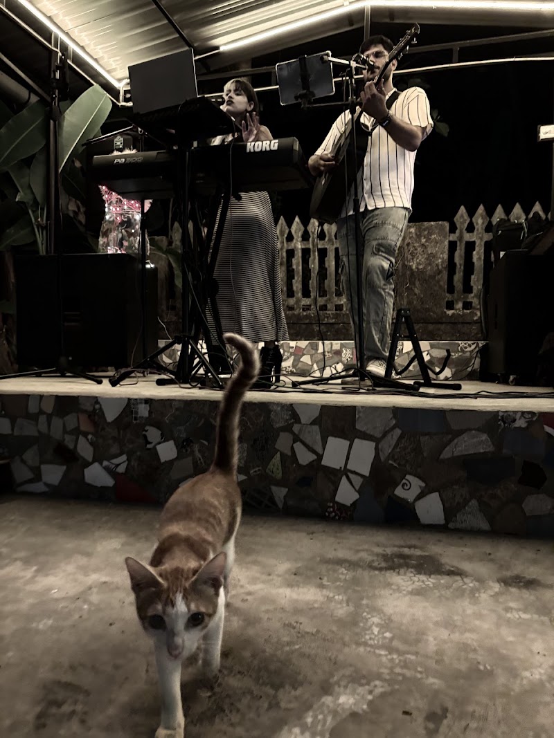 Wise Fool - Wise Fool MDR43, Fatrade Rd, Varca, Fatrade, Goa 403721, India