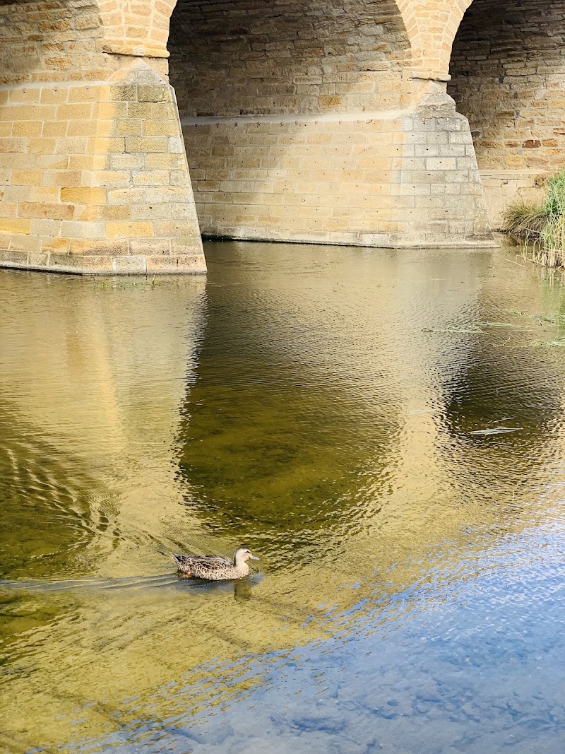Richmond Bridge - Richmond Bridge, Bridge St, Richmond TAS 7025, Australia