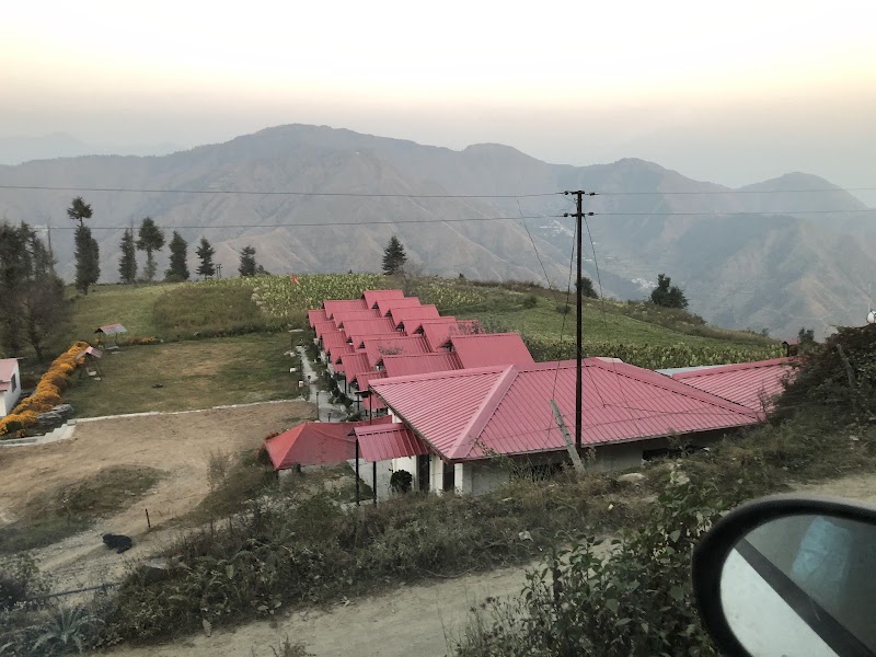 Ramtal Garden and sunrise point - Ramtal Garden and sunrise point, Ramtal Garden, Kwawa, Uttarakhand 248196, India