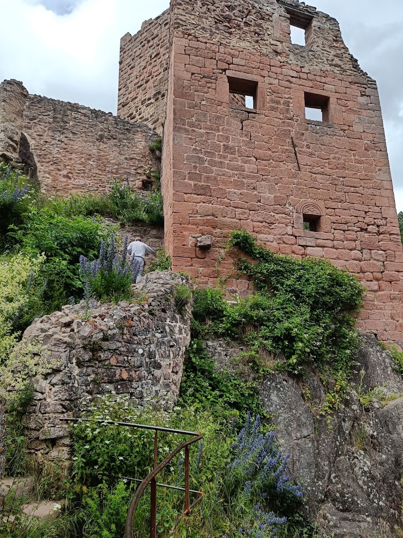 Château du Haut-Ribeaupierre (Or Altenkastel) - Château du Haut-Ribeaupierre (Or Altenkastel), 68150 Ribeauvillé, France