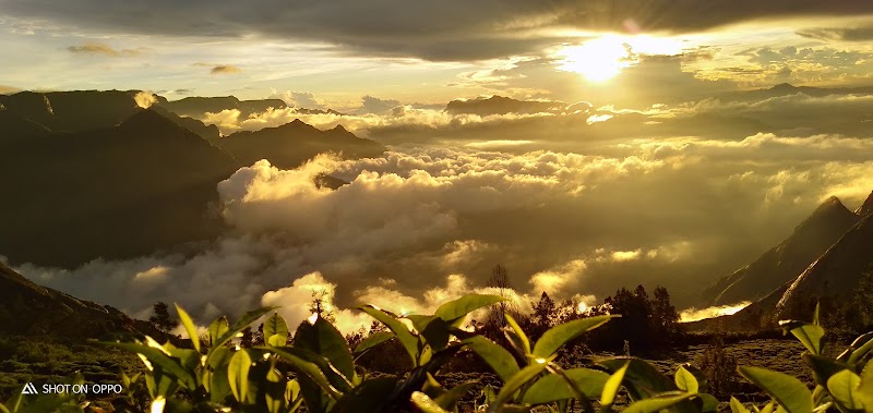 Kolukkumalai Sunrise Jeep Safari