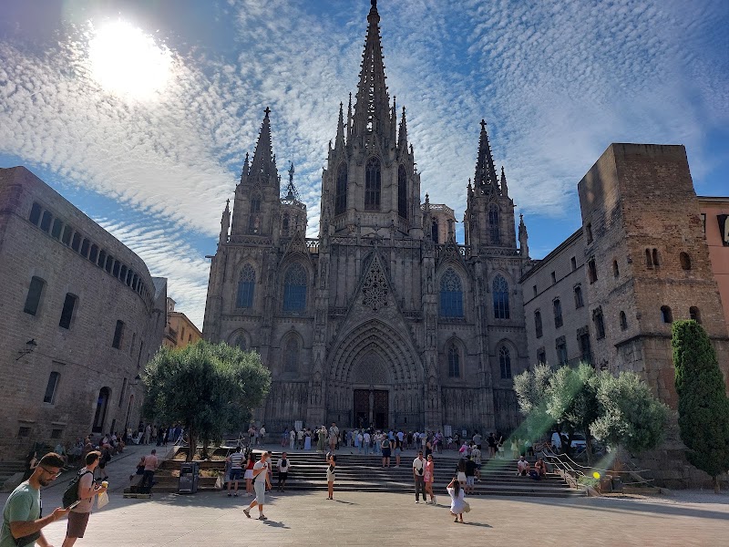 Barcelona Roman city walls - Barcelona Roman city walls Carrer de la Tapineria, 5, 19, Ciutat Vella, 08002 Barcelona, Spain