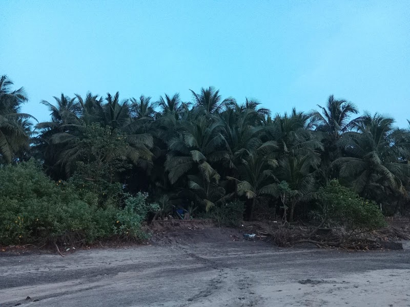 Kolthare Beach - Kolthare Beach, Maharashtra, India