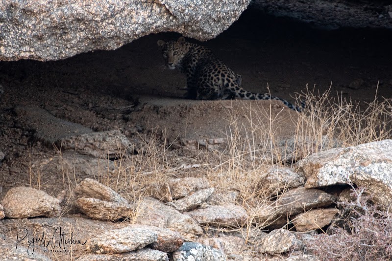 Bera - Bera, Rajasthan 306126, India