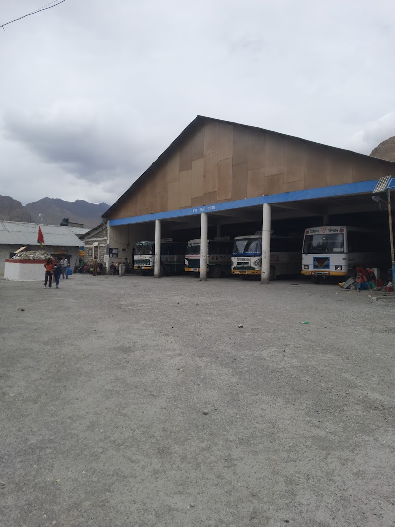 Bus Stand Kaza - Bus Stand Kaza Kaza Khas, Kaza, Himachal Pradesh 172114, India