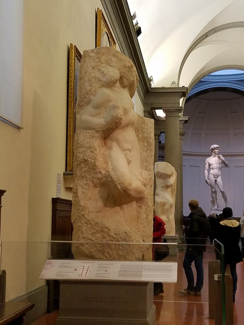 Galleria dell’Accademia di Firenze - Galleria dell’Accademia di Firenze Via Ricasoli, 58/60, 50129 Firenze FI, Italy