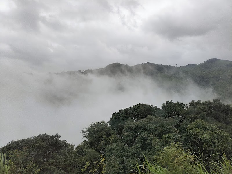 Laws Falls - Laws Falls 8QJX+QX6, Coonoor, Tamil Nadu 643102, India