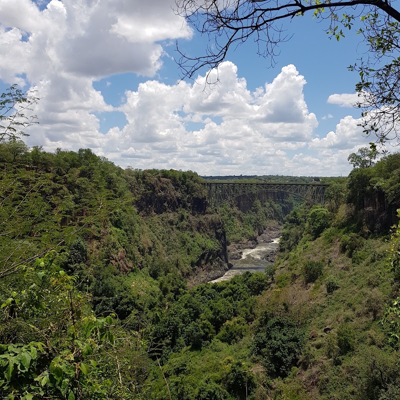 Safari Victoria Falls - Safari Victoria Falls, Victoria Falls, Zimbabwe