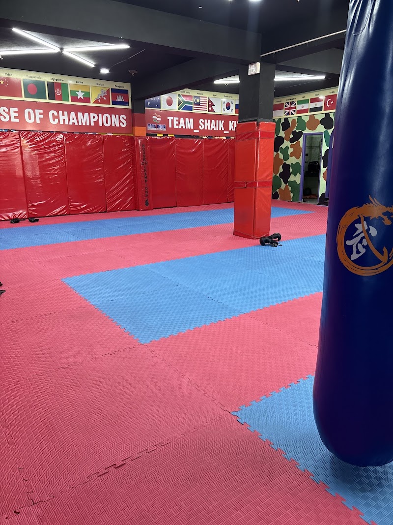House of champions MMA Gym - House of champions MMA Gym, 22-1-119/120, Kali Kaber, Fedak Inclave, Imlibun, Darulshifa, Hyderabad, Telangana 500024, India