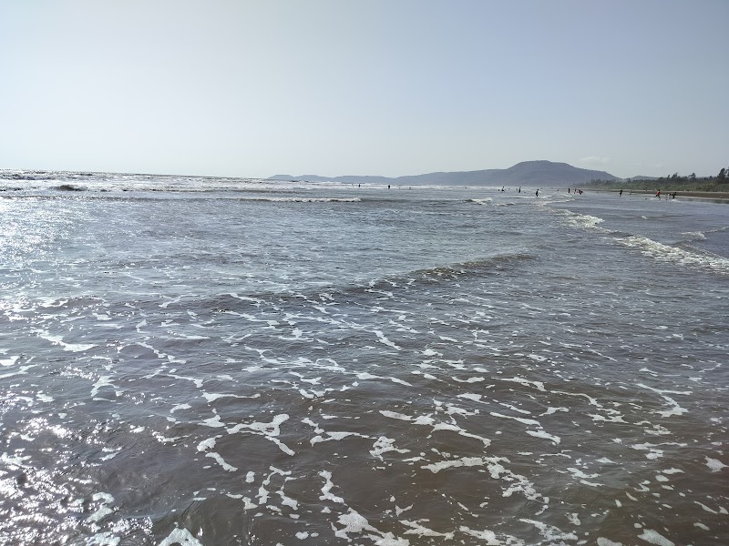 Diveagar Beach - Diveagar Beach Diveagar, Maharashtra 402404, India