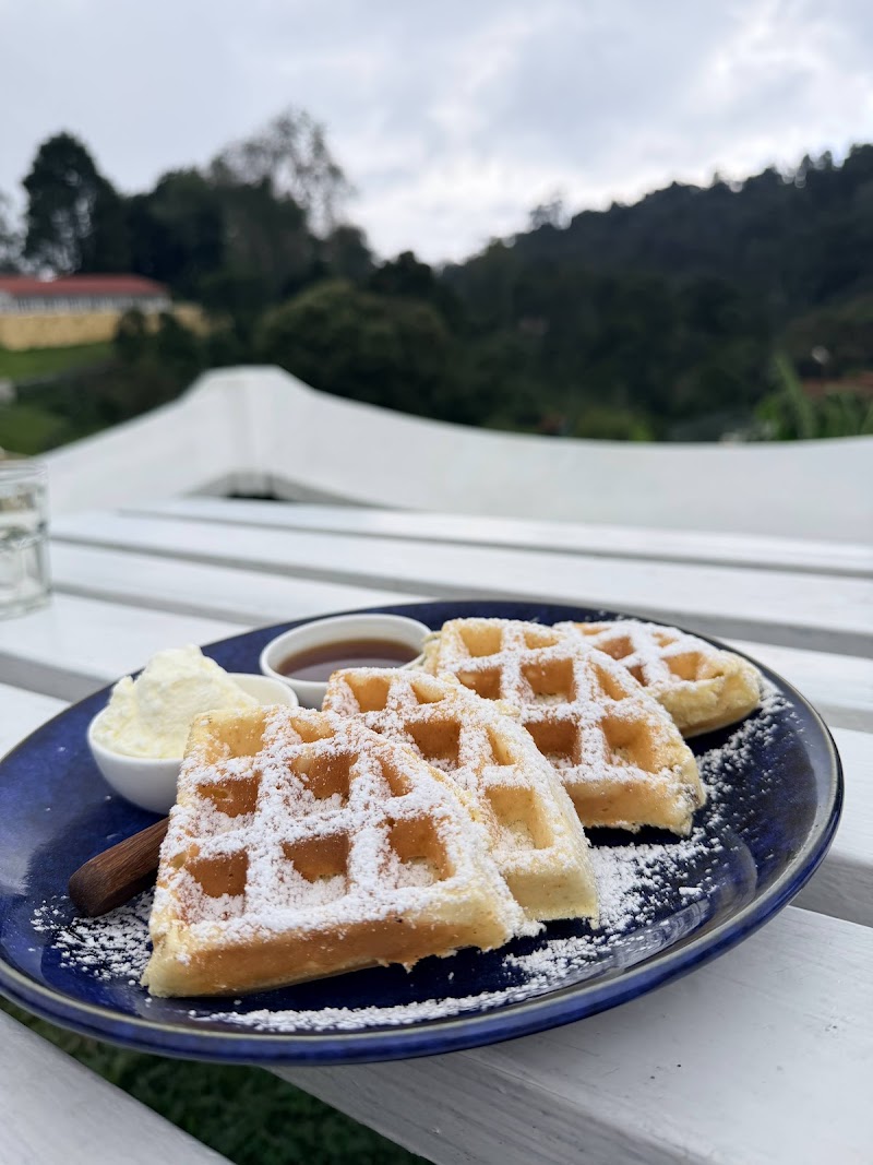 Cafe Wisteria - Cafe Wisteria Golf Club Road, inside Holiday Home Resort, Kodaikanal, Tamil Nadu 624103, India