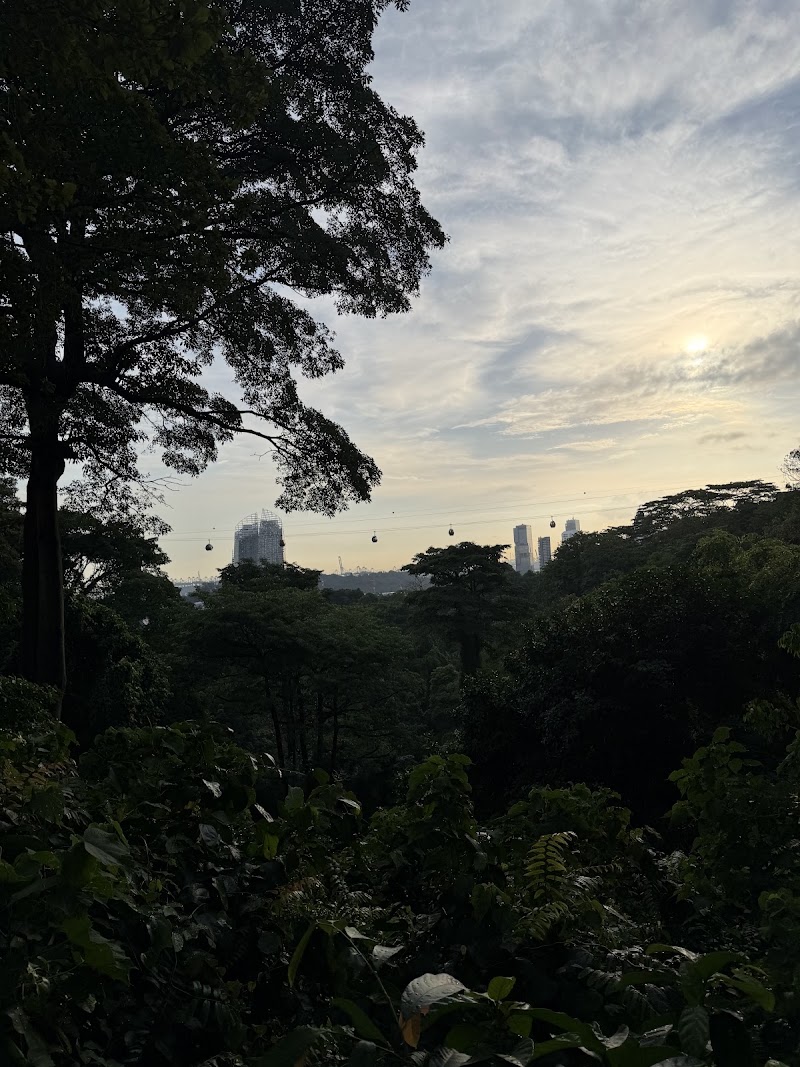 CABLE CAR - CABLE CAR, Mount Faber Rd, Singapore