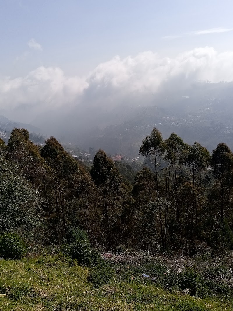 Kodaikanal Tourist Office - Kodaikanal Tourist Office 6FPR+PGC, Kodaikanal, Tamil Nadu 624101, India