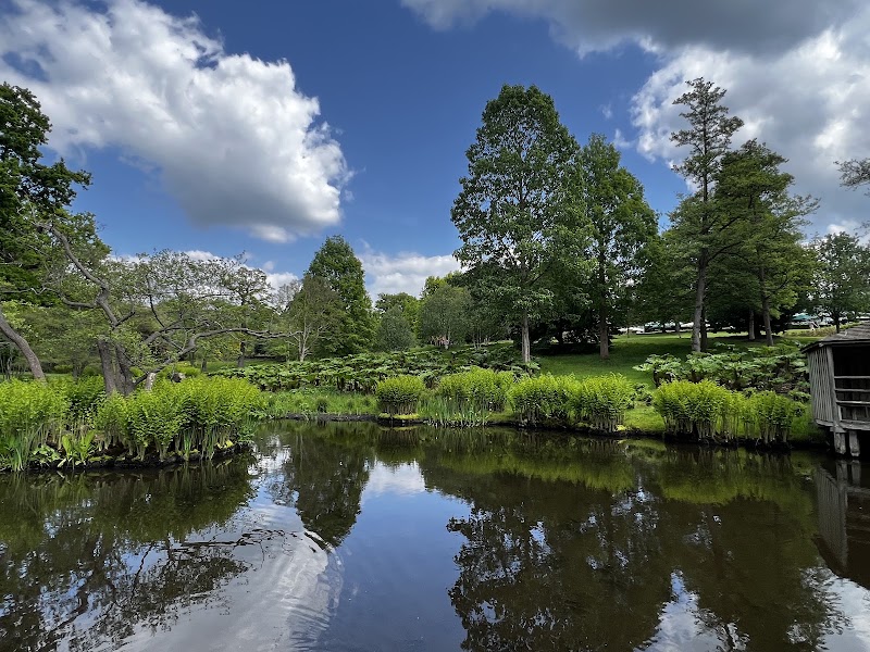 The Savill Garden - The Savill Garden, Wick Ln, Englefield Green, Egham TW20 0UJ, UK