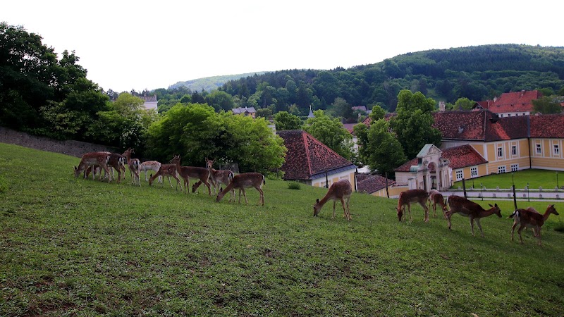 Mayerling - Mayerling, 2534 Mayerling, Austria