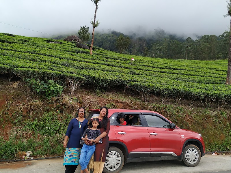 Munnar Treehouse - Munnar Treehouse 22PV+V47, Munnar, Kerala 685565, India