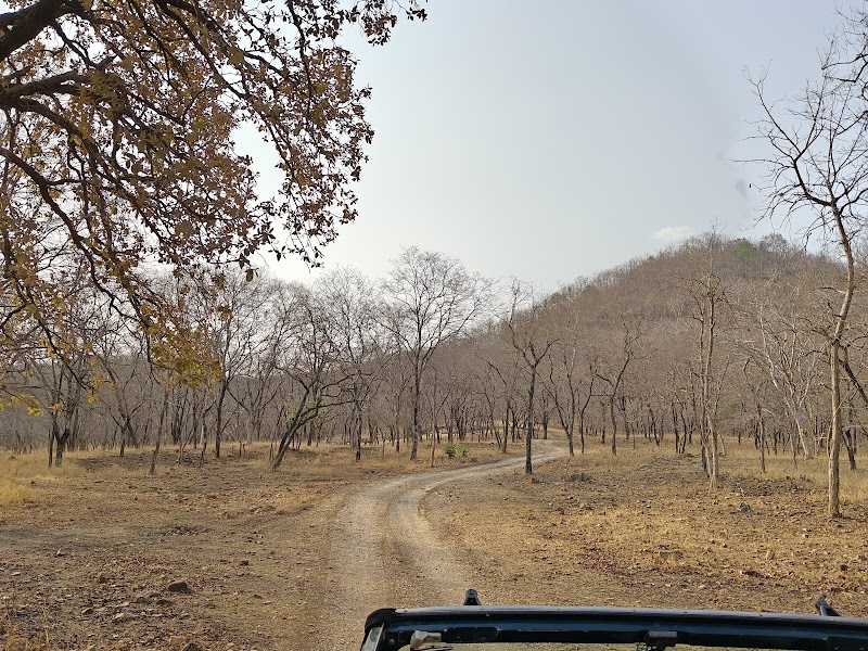 Panna Tiger Reserve - Panna Tiger Reserve, Mohan Niwas Palace, Gahra - Kunjvan Rd, Rani Baag, Panna, Madhya Pradesh 488001, India