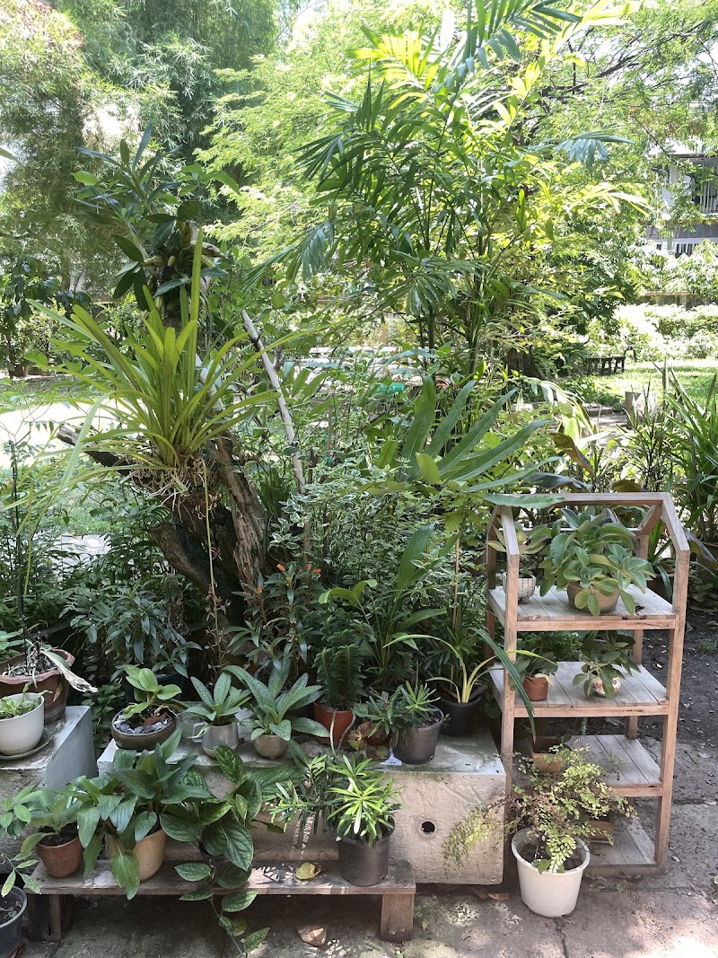Y Prepper - Y Prepper, 35 Soi Sukhumvit 16, Khwaeng Khlong Toei, Khet Khlong Toei, Krung Thep Maha Nakhon 10110, Thailand